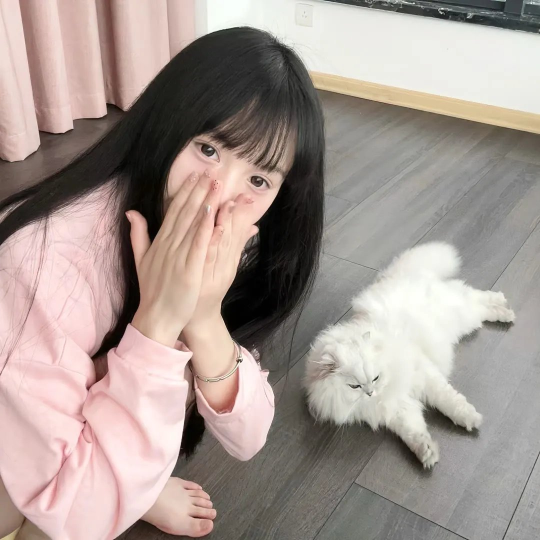 爱乐风雨情国语